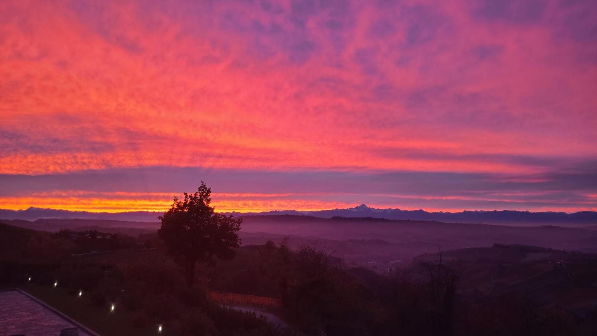 Casa Castella - Adults Only - Langhe Βίλα Diano dʼAlba Εξωτερικό φωτογραφία